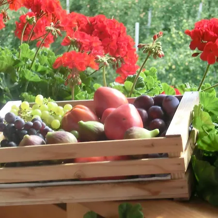 Appartement Oberschoeberlehof