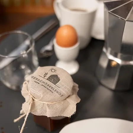 Oberschoeberlehof アパート メラーノ