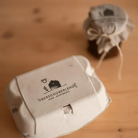 Appartement Oberschoeberlehof