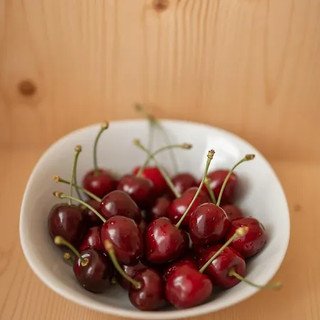 Oberschoeberlehof Appartement Meran