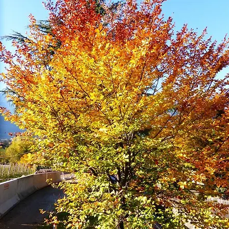 アパート Oberschoeberlehof メラーノ