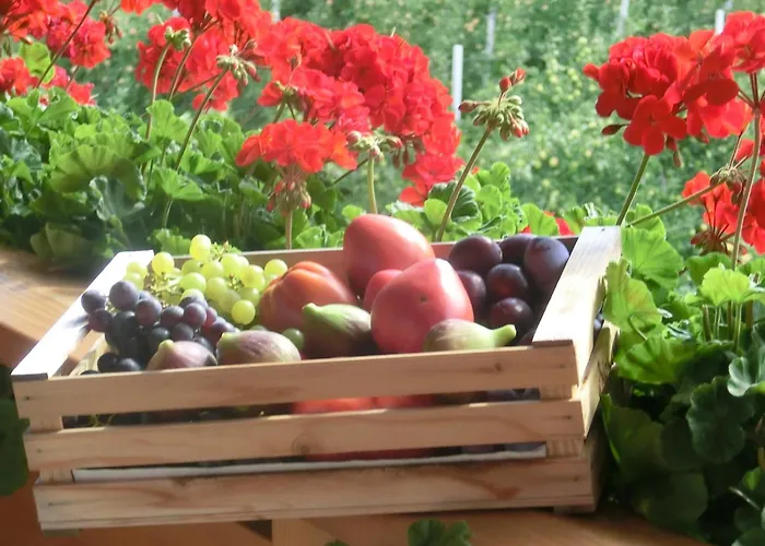 公寓 Oberschoeberlehof