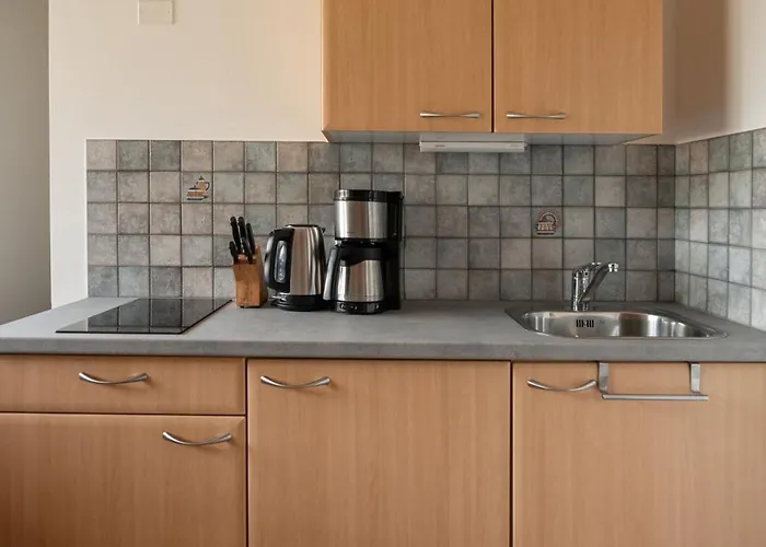 公寓 Oberschoeberlehof 梅拉诺