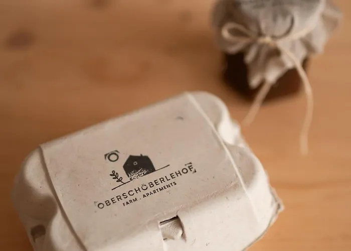 公寓 Oberschoeberlehof