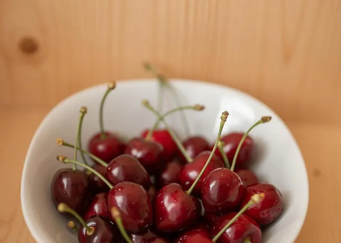 Oberschoeberlehof Apartment Meran