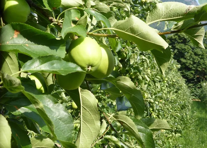 公寓 Oberschoeberlehof *